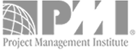 PMI — Project Management Institute