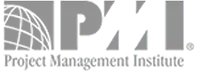 PMI — Project Management Institute